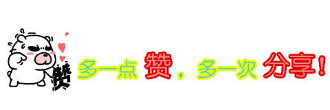 死亡超3万！撤侨令后，董卿
