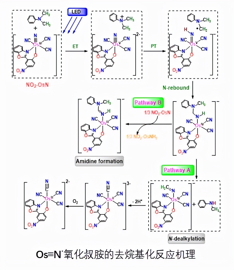 满园绝色关不住！全国景色“最美”大学之一，深藏湖北