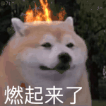 以霸总的心俘获我的爱？这些电视剧走向海外的剧名，太好笑了吧