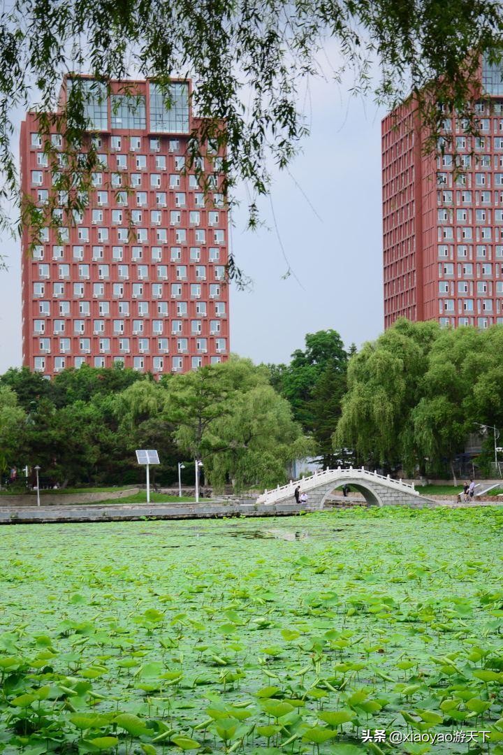 最美大学之旅——东北师范大学