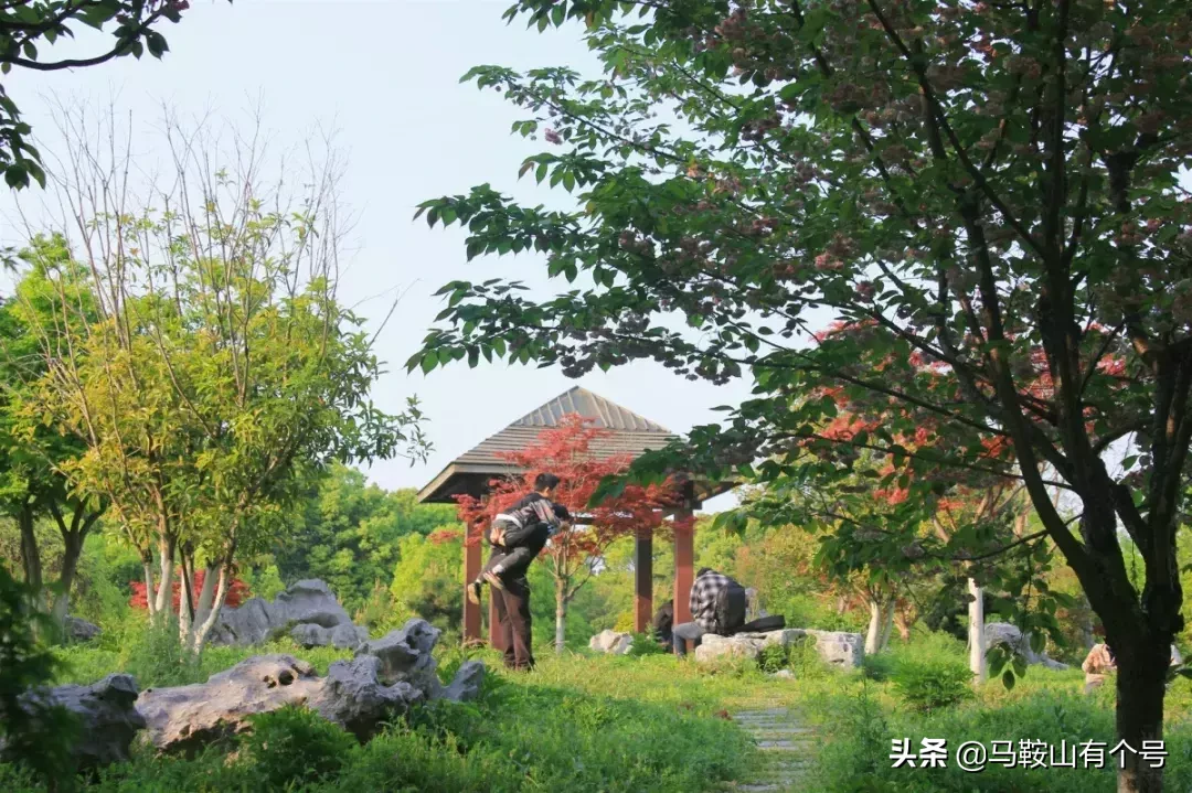 马鞍山人，别忘了动物园！这里曾是我们的全部！