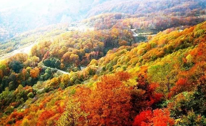 最美不过枫叶红,6个红枫圣地"打包"给你,错过悔一年