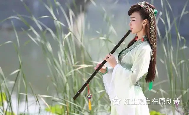 郦波之《旅夜作书》到底是不是咏怀诗？别被带偏了