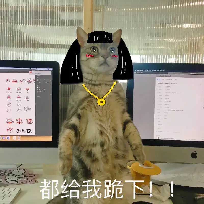 挤完公司10只猫的肛门腺后,办公室还好吗?