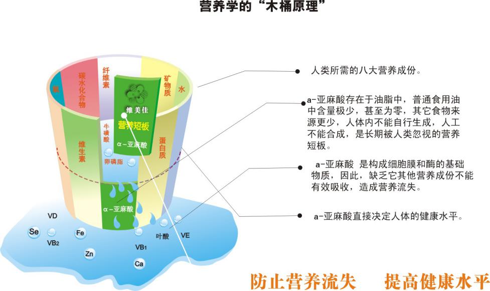 人人都在说减肥，但脂肪又不可或缺，效价比高又健康——亚麻油