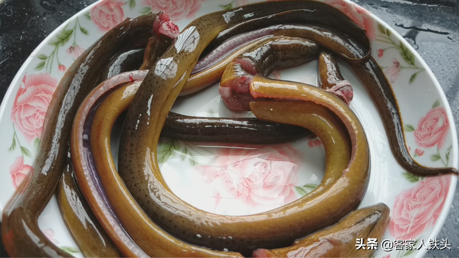 红鳝鱼可以卖多少钱鳝鱼想要好吃有诀窍