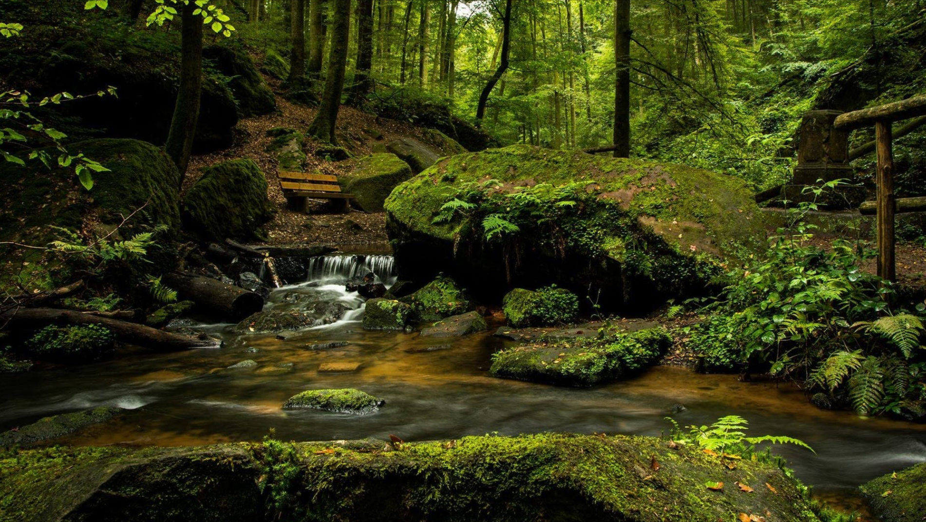 无法驾驭,自在随性的星座,独立超然的灵魂,如脱缰野马一般随性
