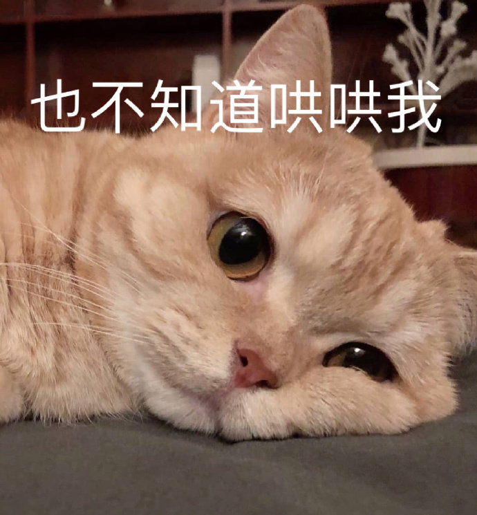 最新表情包图片：我累了，你也不知道哄哄我