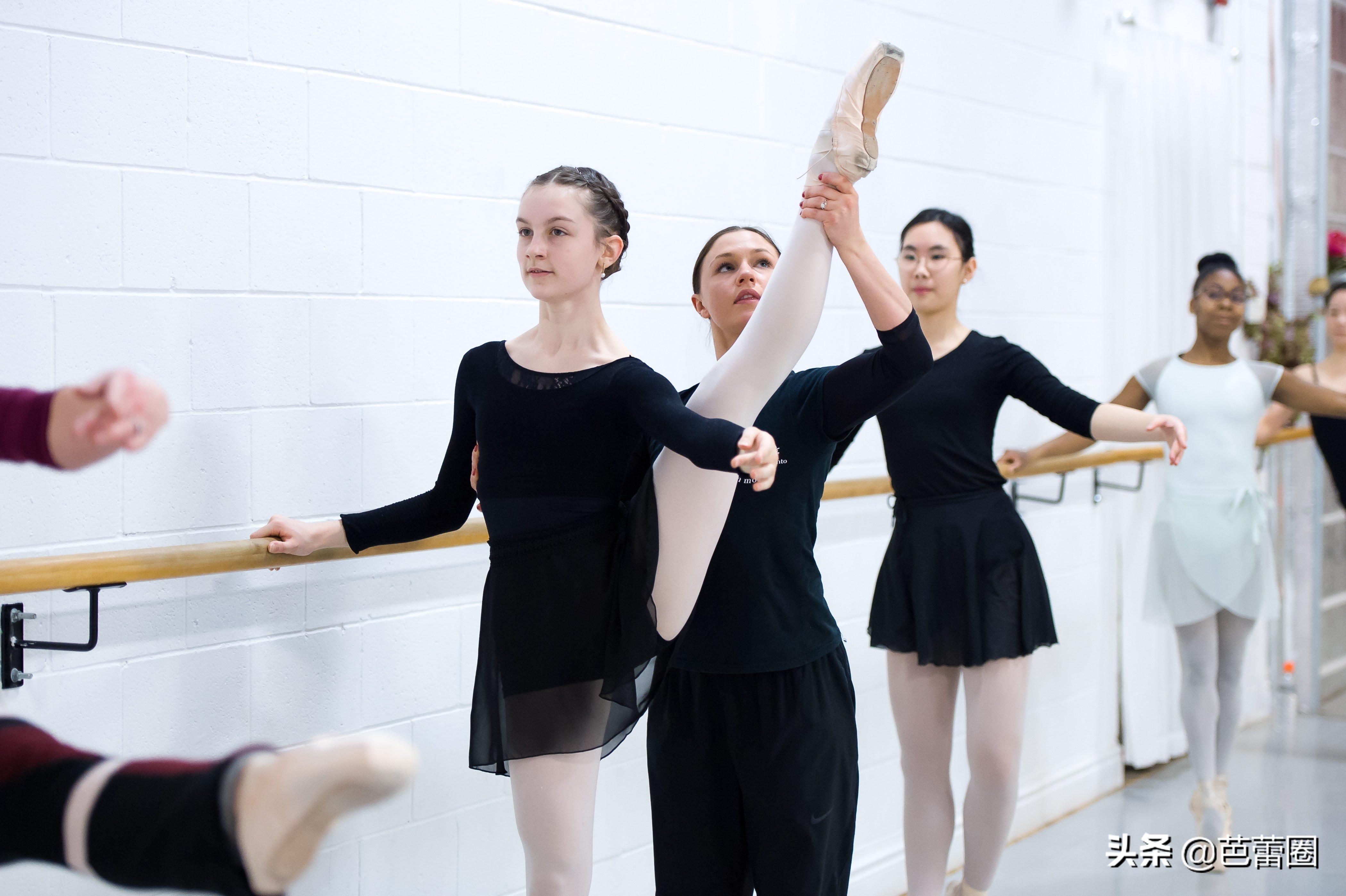 【在家学芭蕾】成人芭蕾舞基础入门课程 第1课