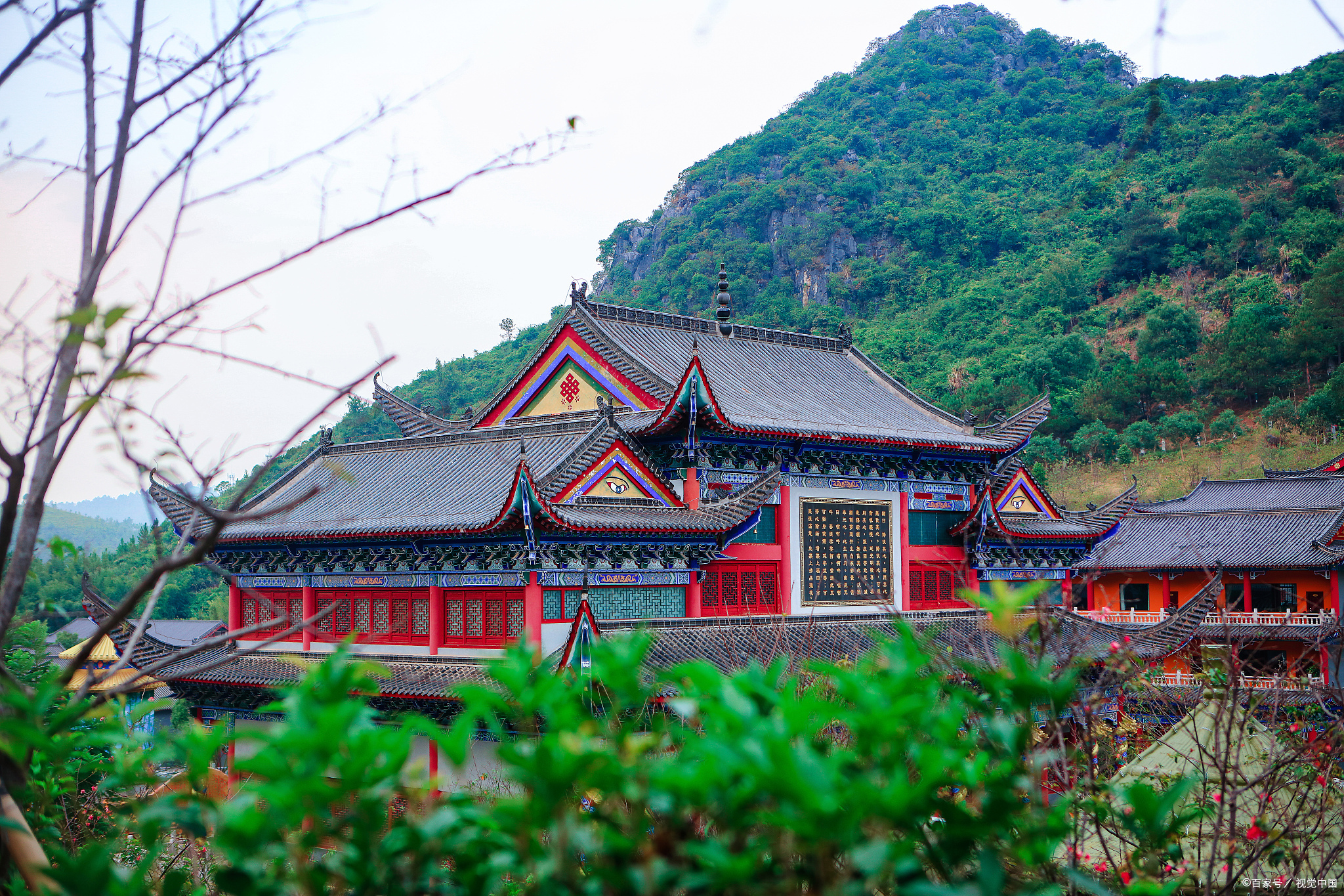 上海这所大学“太委屈”，改名后误认为是野鸡大学，实际是所211