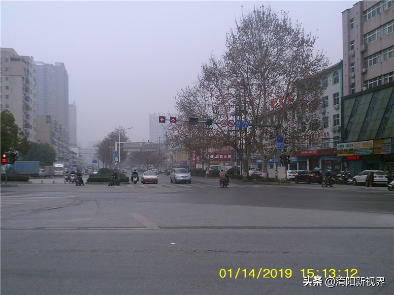 南阳市车管网,南阳车管信息网