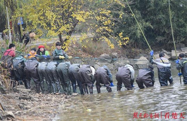 年年有鱼！今天这所学校万人同享鱼宴，楚天都市报读者也来捕鱼吃鱼