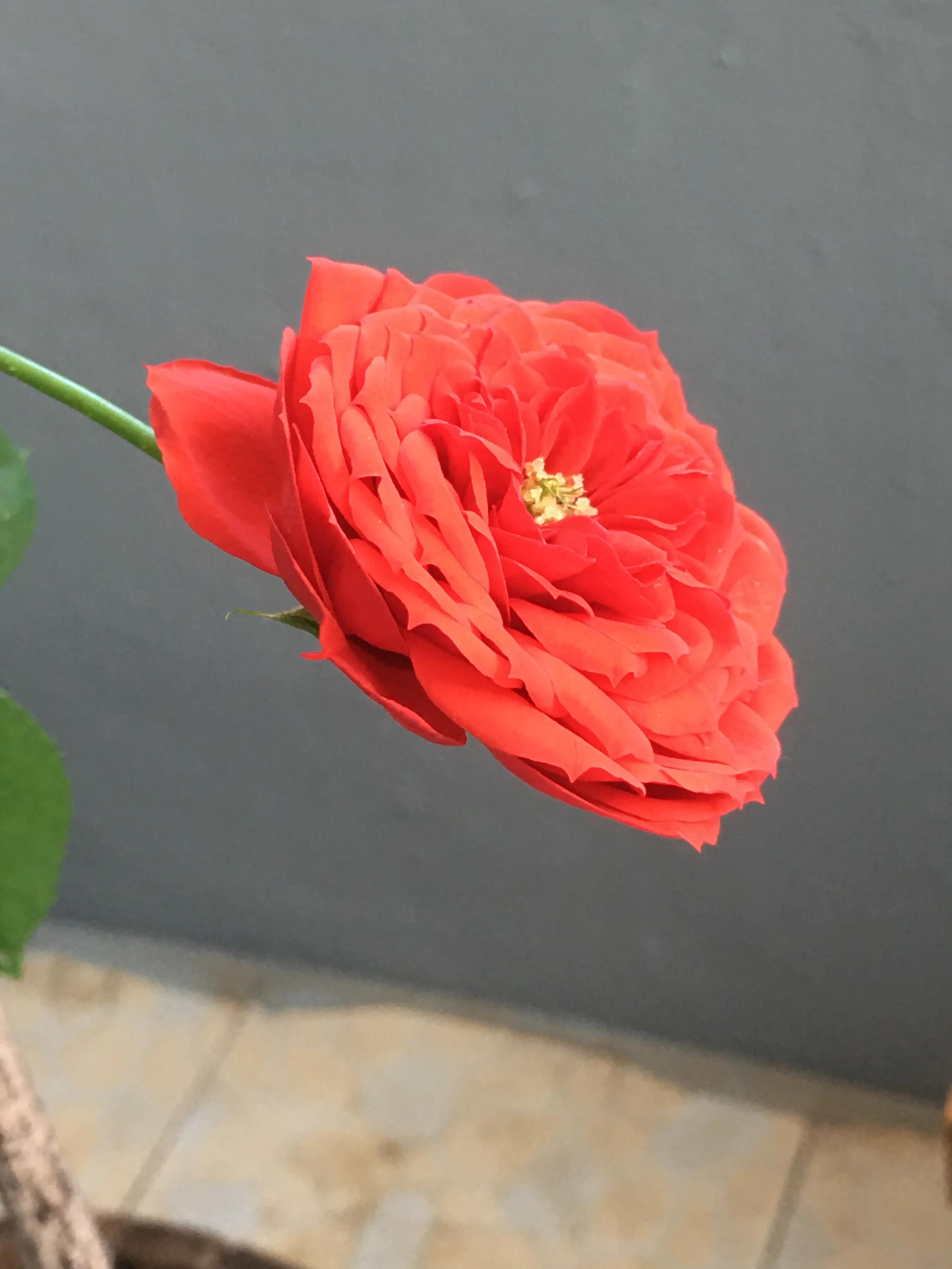 创业，你真的准备好了吗？