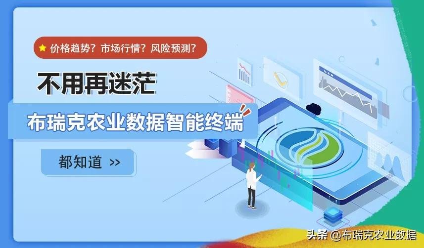 我国燕麦的消费量逐年提高,以饲用消费量为主,食用消费量为辅