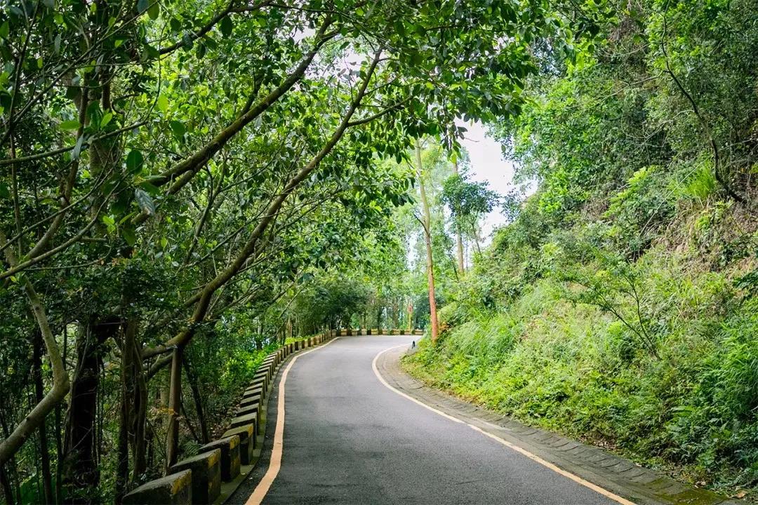 深圳值得征服的10座山，你去过几座？