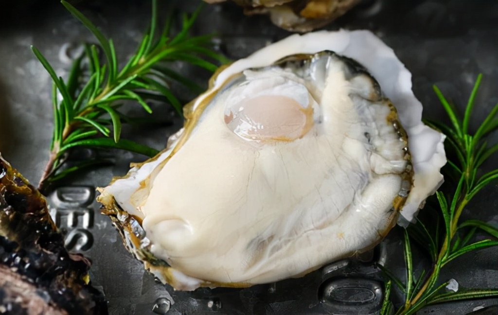 清蒸生蚝多少分钟开口的窍门详解