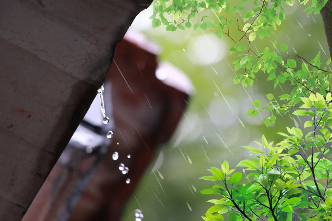 白居易深夜失眠想念初恋，写下凄美的一场“夜雨”，读来令人心碎