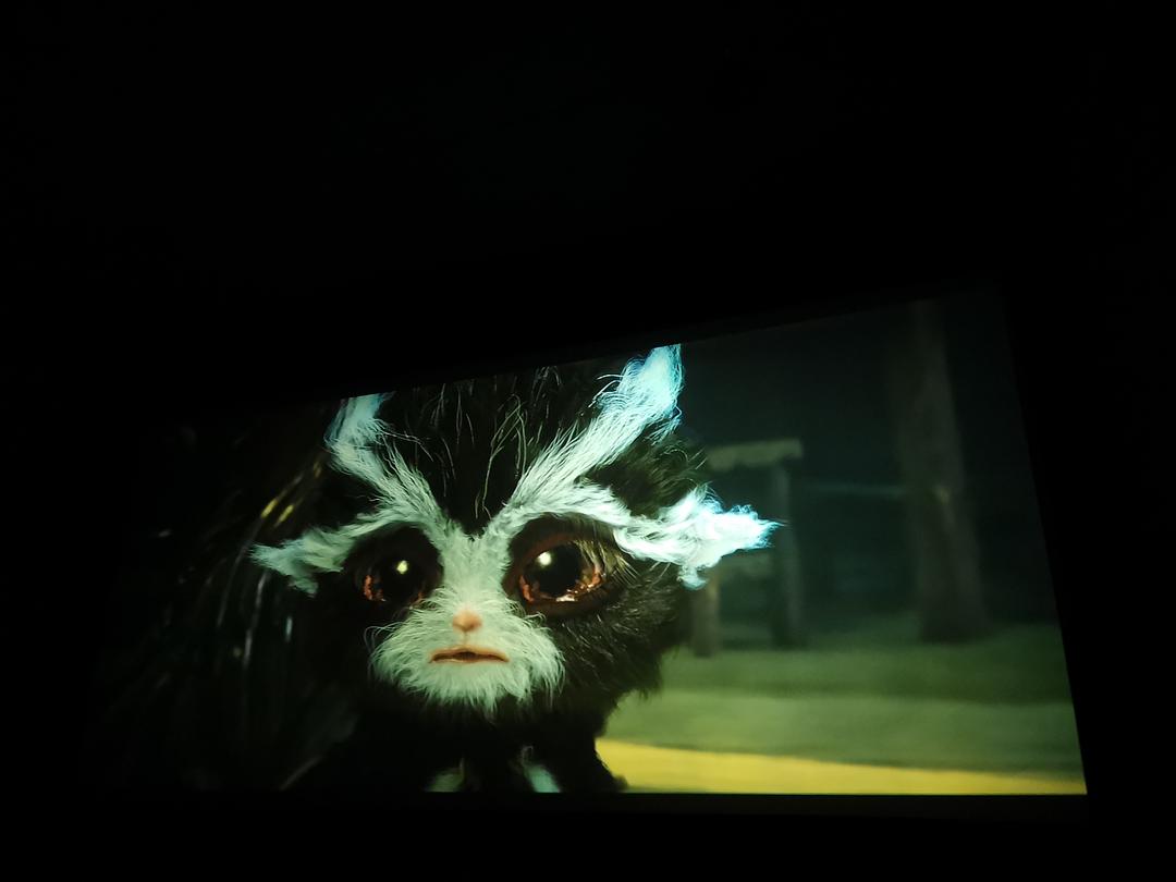 奇迹的名字叫做"招财"——「武林怪兽 」