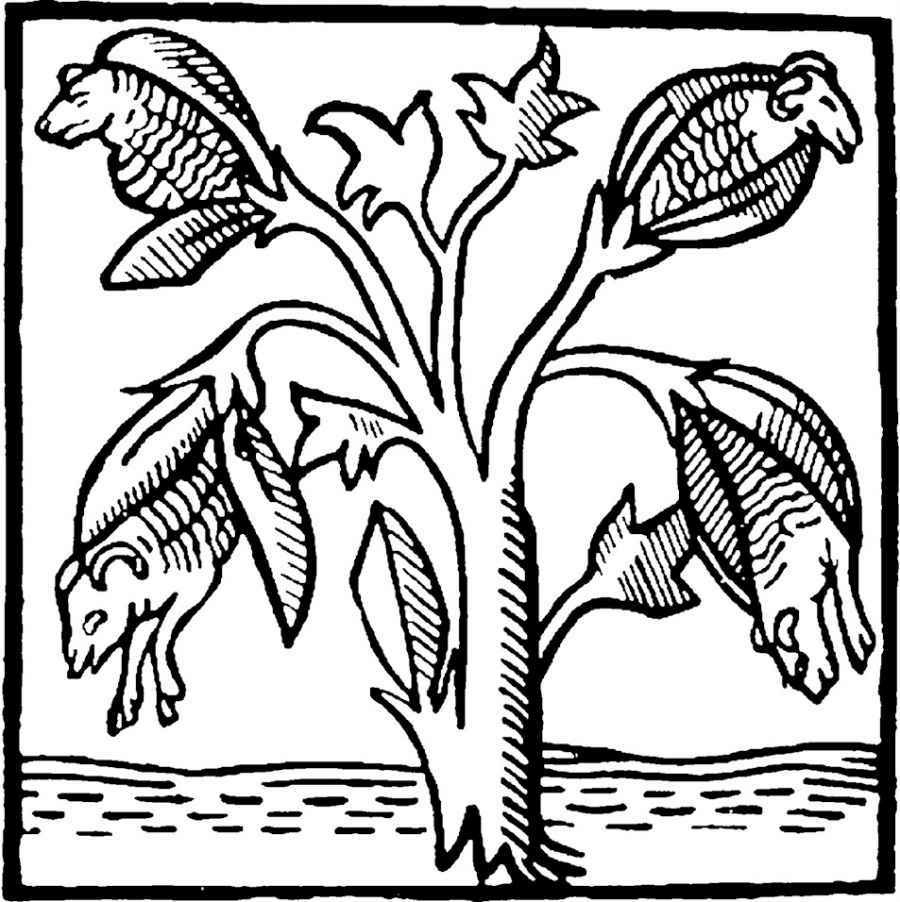 美国往事：棉花、奴隶与世界经济