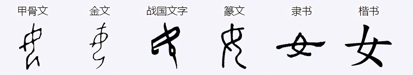 女拼音怎么拼写，小学语文 一年级汉字“女”