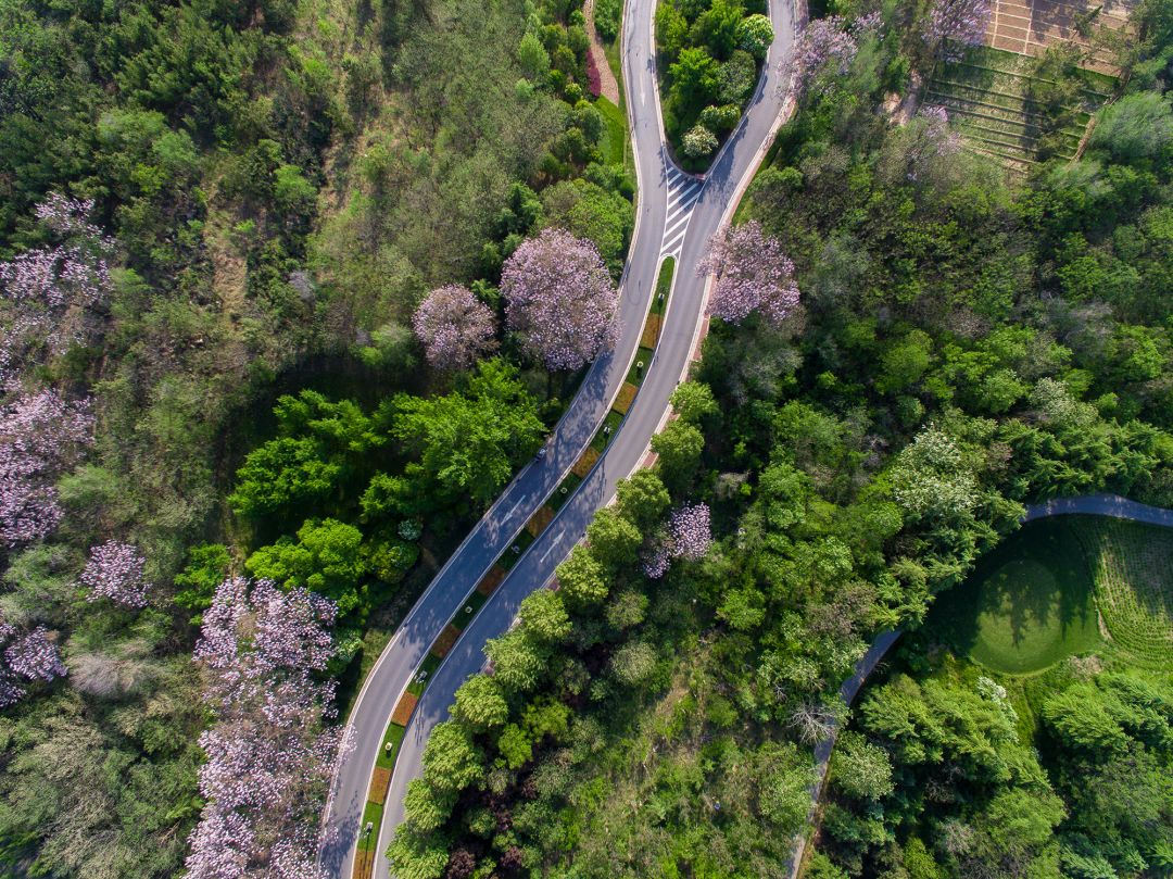郑州向北，刚需为啥看不上这个均价八千的片区？