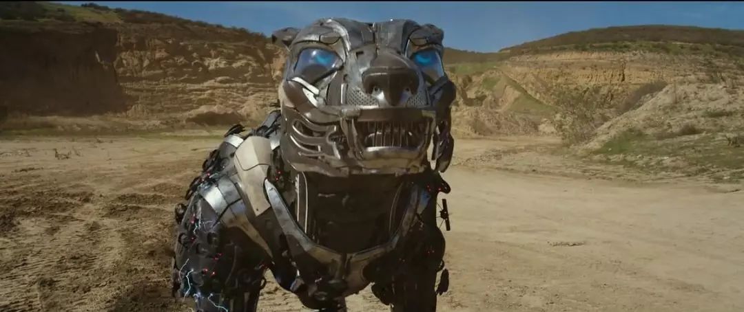 机器男友电影剧情「介绍」 _晶羽科技