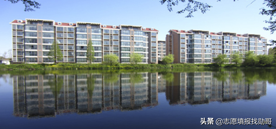 厦门嘉庚，中山南方，南大金陵，独立学院三巨头，选哪个？