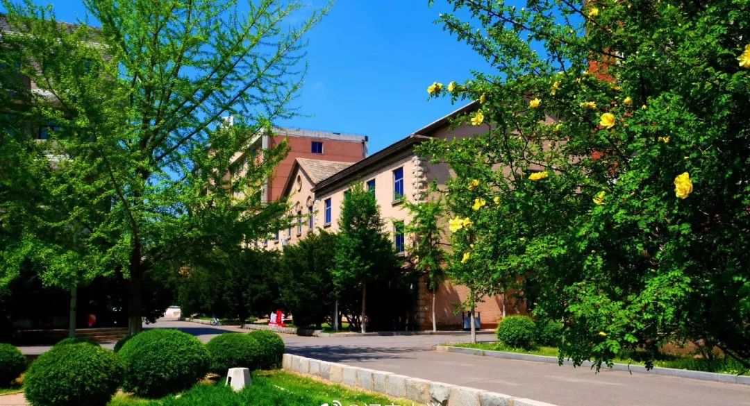 省级一流专业——辽宁大学英语专业