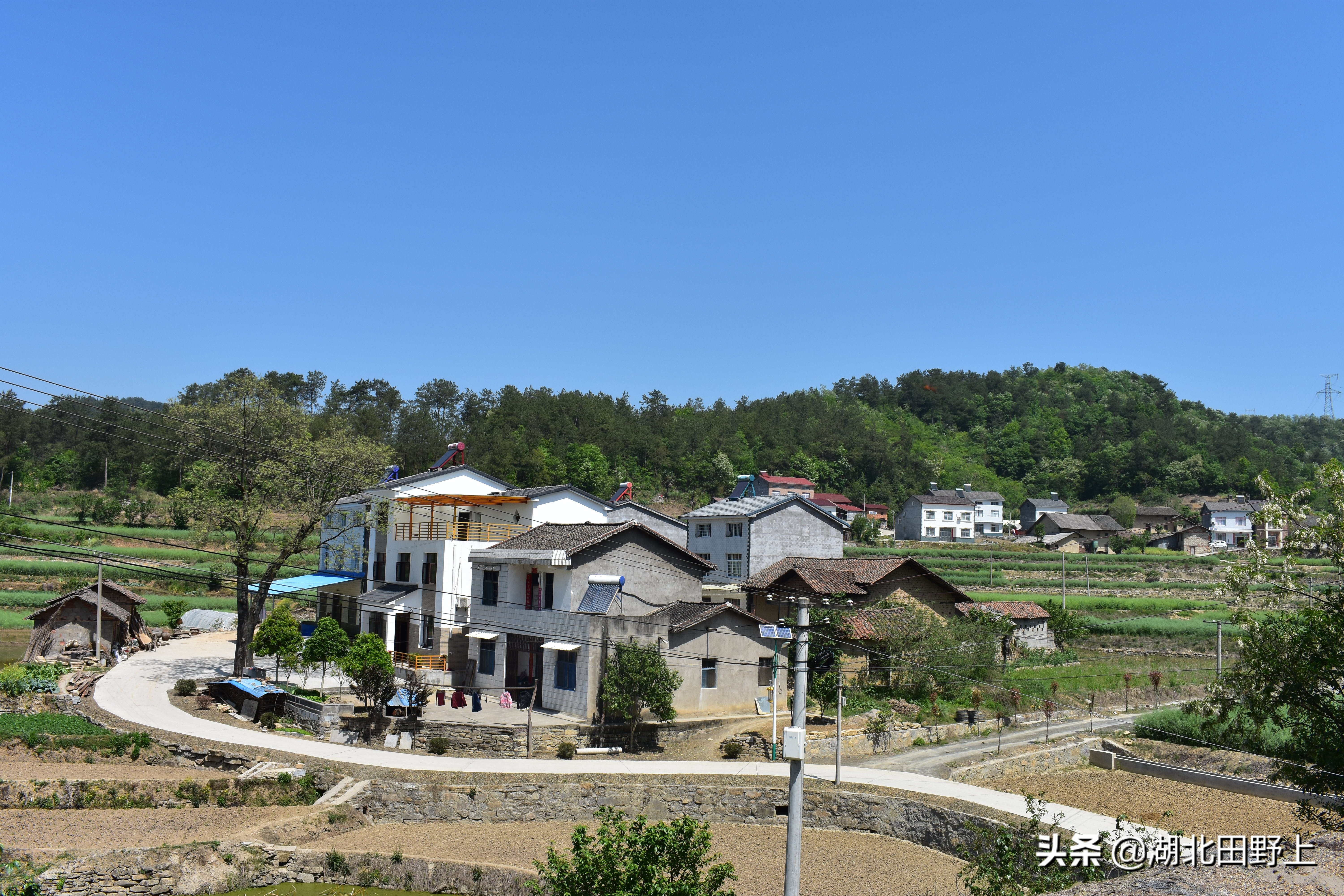 田野上团队回访美丽的分乡镇插旗村