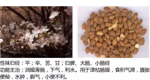 300个中草药图谱（附主治功效），知道一半就太牛了（上）