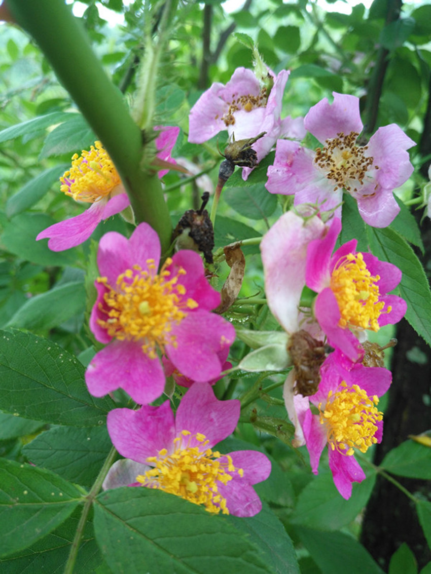 高考语文阅读答题须知：知人论世，解答才能做到客观公允