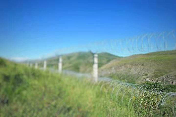 我在那里毫无尊严，脚下是“毒”，头顶是“枪！”