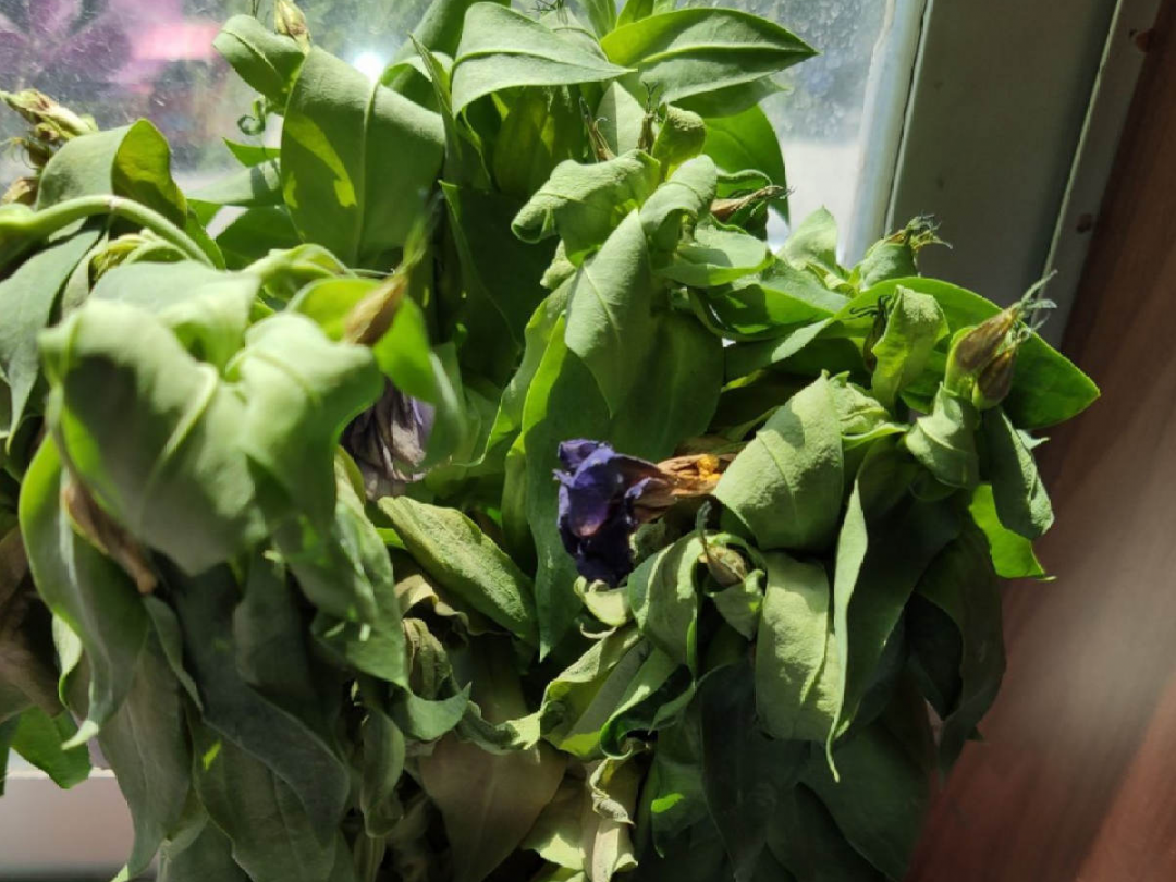 2019年夏天出生的五行缺水的女孩取名大全_达一风水网