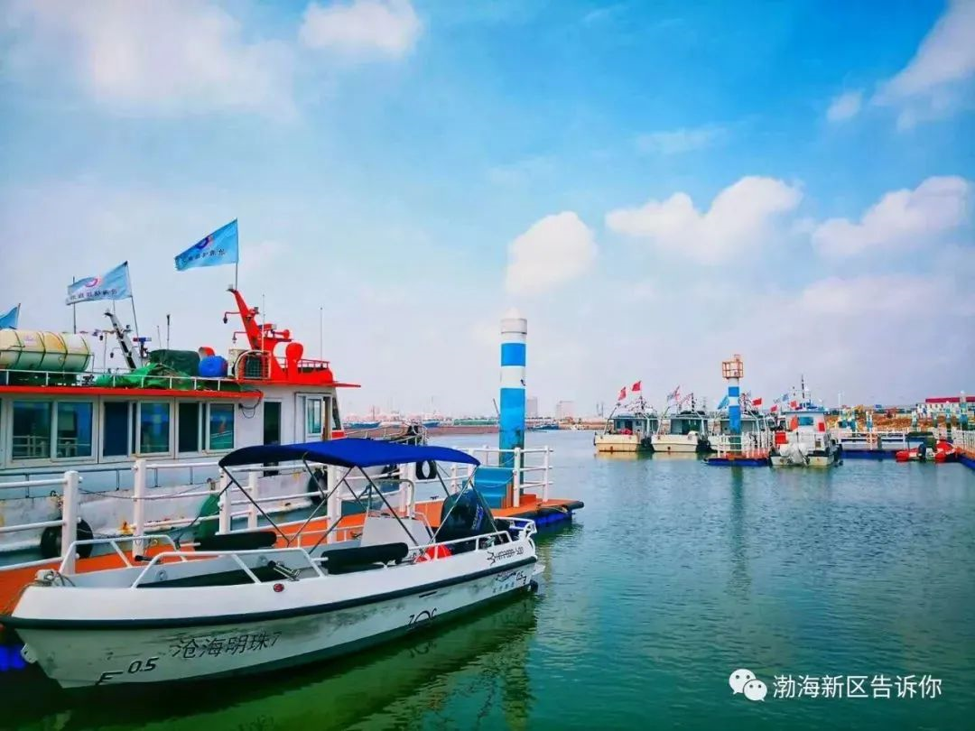 巾帼乡村旅游基地展播 | 黄骅港旅游码头——东渡码头