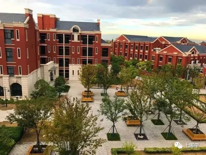 不对口也能进！上海3所优质公办小学非地段录取，今年招生变化大