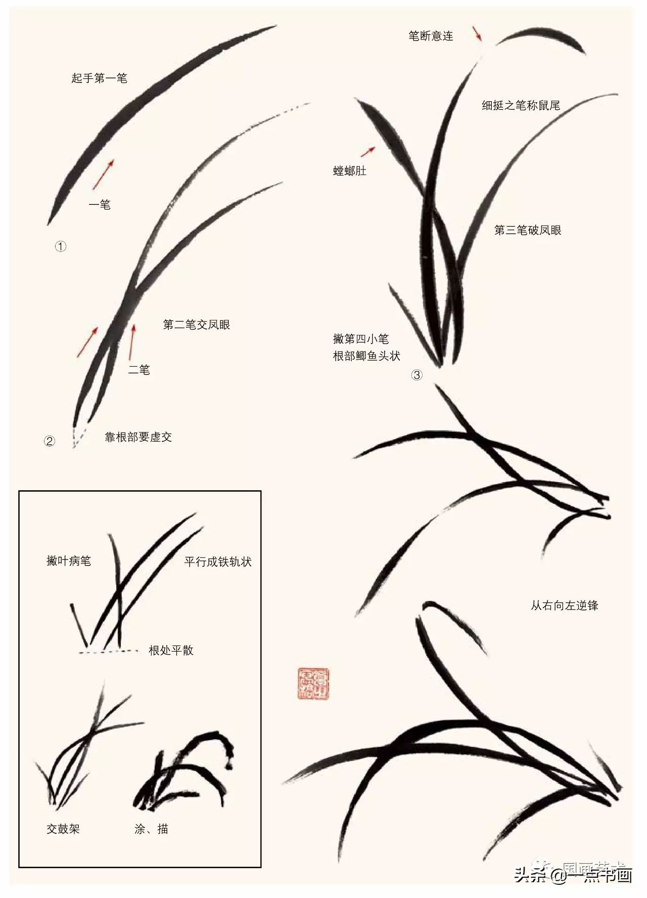 兰花怎么画(国画兰花画法技法教程)