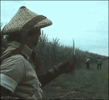 “开挂”的印度，背后冰冷的社会现实