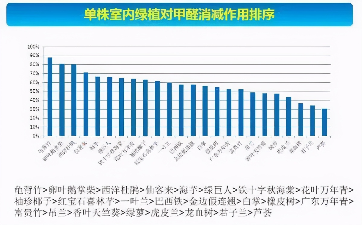 24种花,净化空气最厉害,绿萝竟然倒数