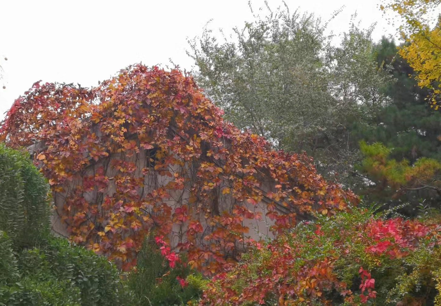 安徽财经大学、新疆大学、哈尔滨医科大学等院校考研调剂信息