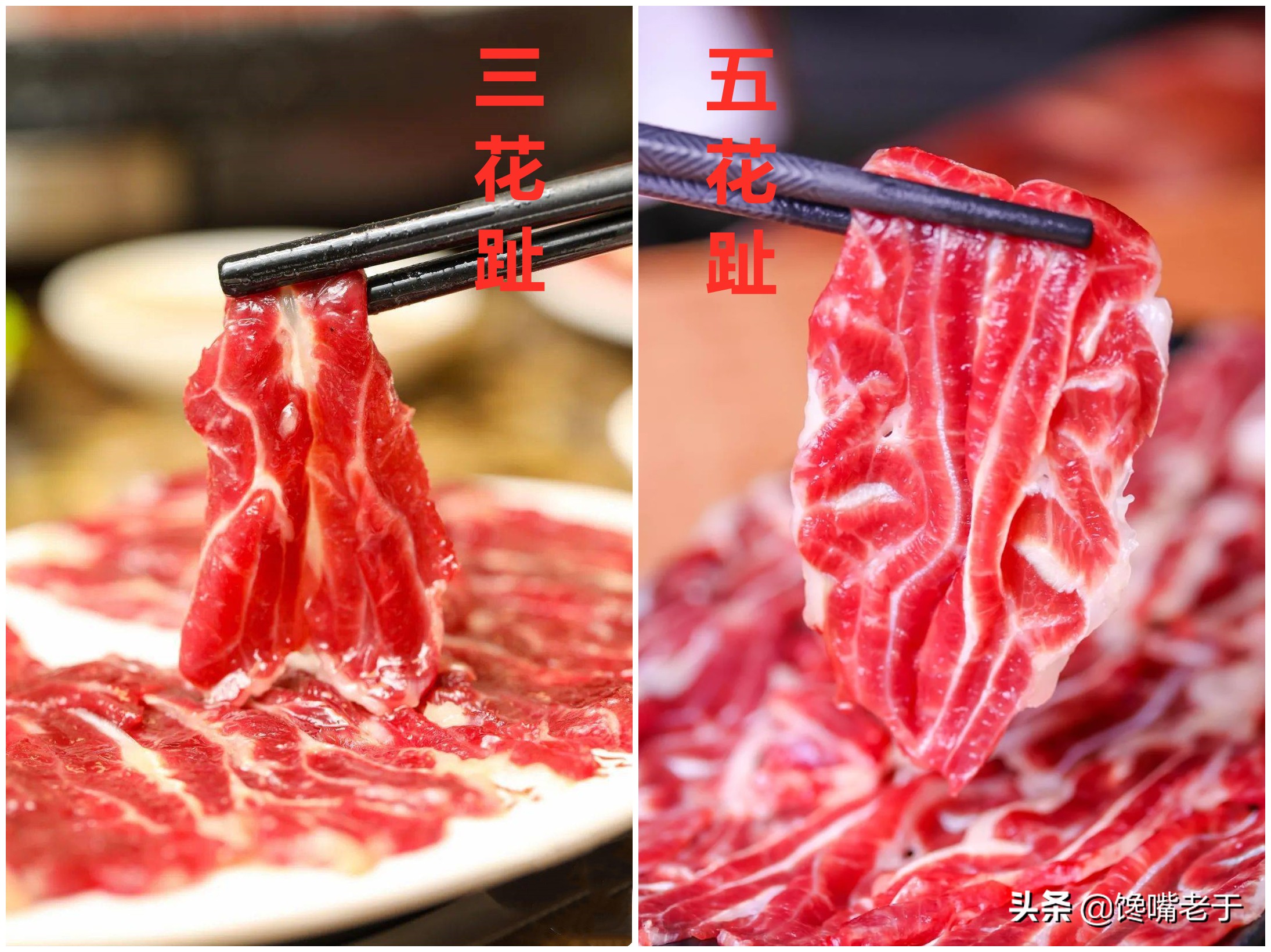 五花趾是牛的哪个部位(才知道,"牛前腱"和"牛后腱"差别这么大,看完后