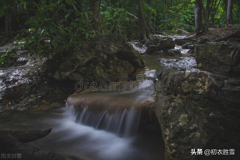 赏读陆游两首仲夏诗：芙蓉虽瘦亦弥漫，照眼翠盖遮红妆