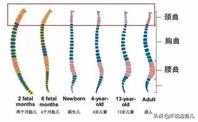 宝宝需要用枕头吗？太早太晚都不好，正确答案在宝宝身上