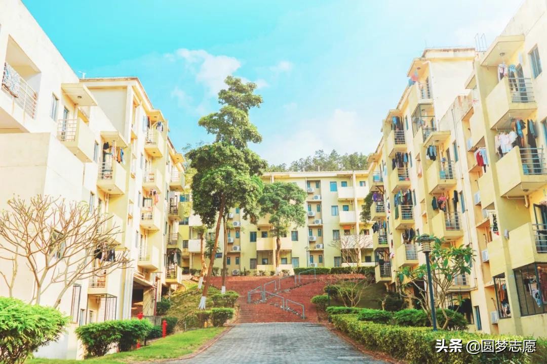 南京林业大学南方学院（2020可能回归本部的知名独立学院）