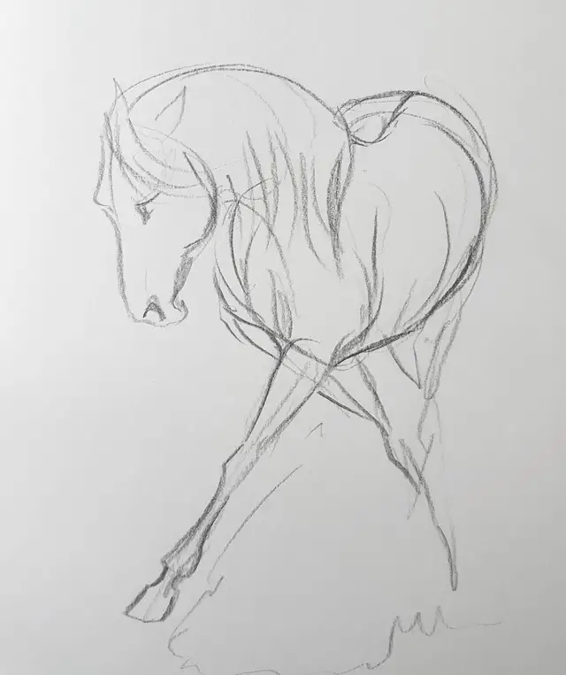 教你画马的身体结构,简单易学