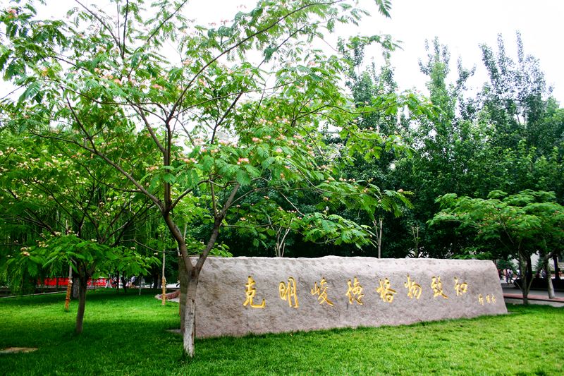 山东财经大学在哪（山东财经大学实力如何）