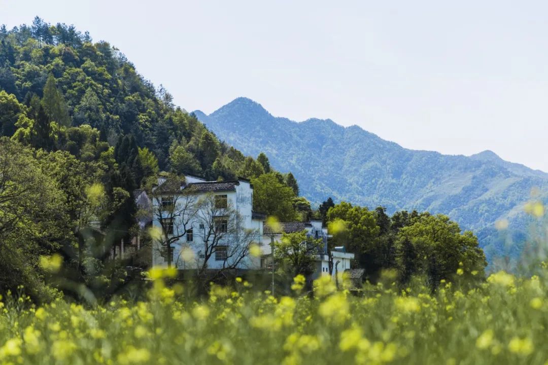 四月旅行地推荐！10个诗情画意目的地，这才是春天该去的地方