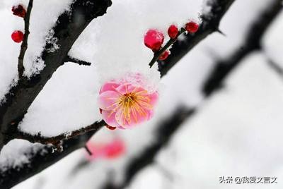 经典文言文赏析｜一字师