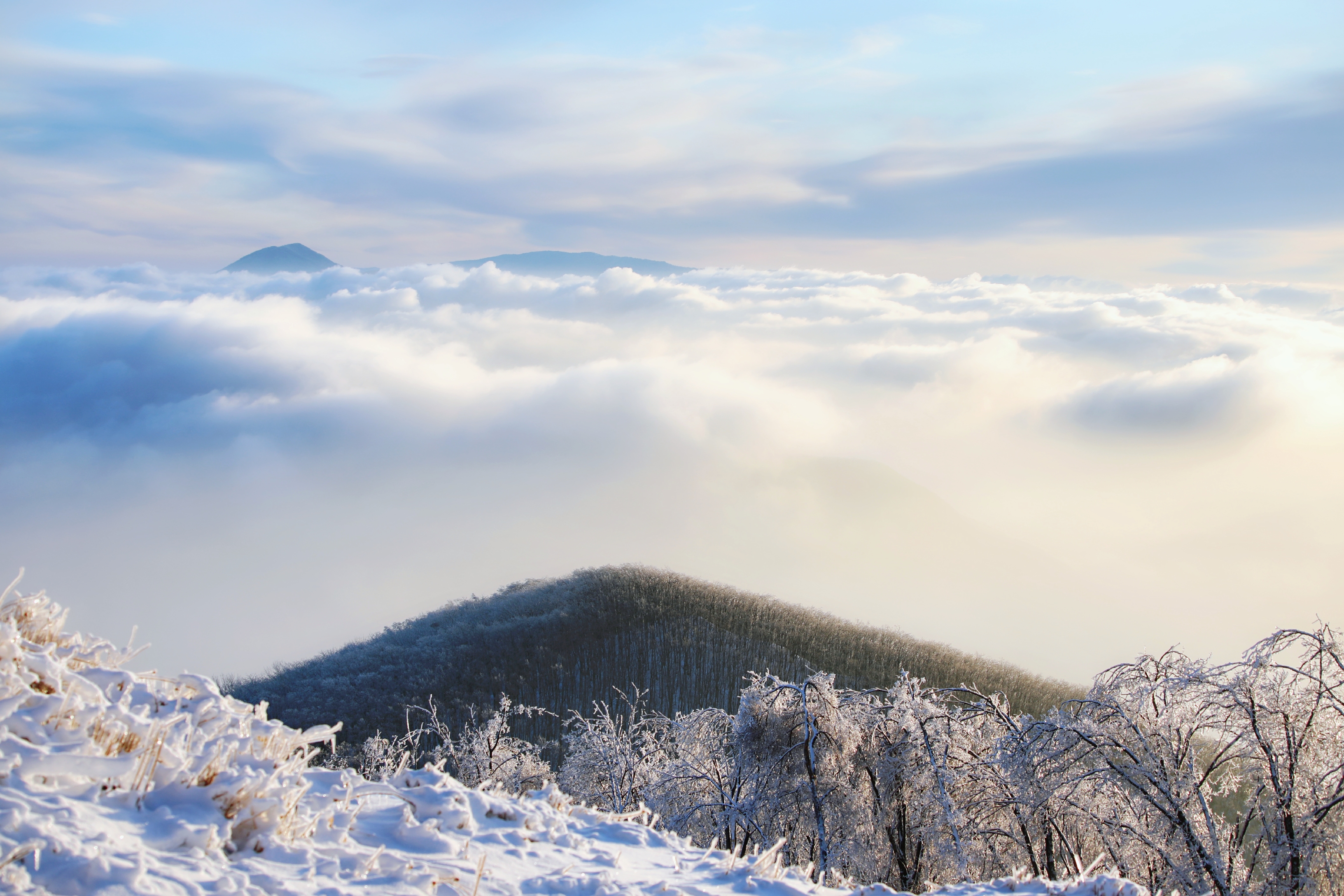 吉林山峰上的雾凇、云海和日出太壮观了，这才是冰和雪的世界