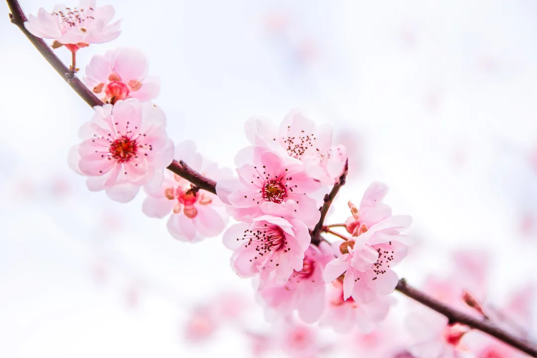 全部的成语！太齐全了，值得收藏！