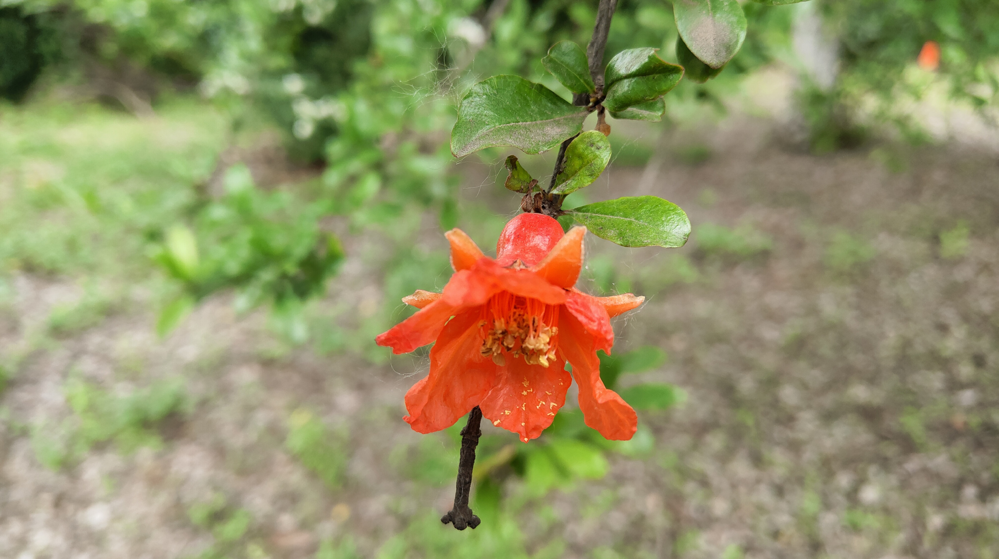 余生，淡淡爱，淡淡相守